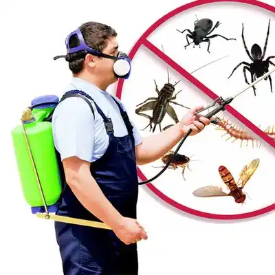 pest control Elephant Butte
